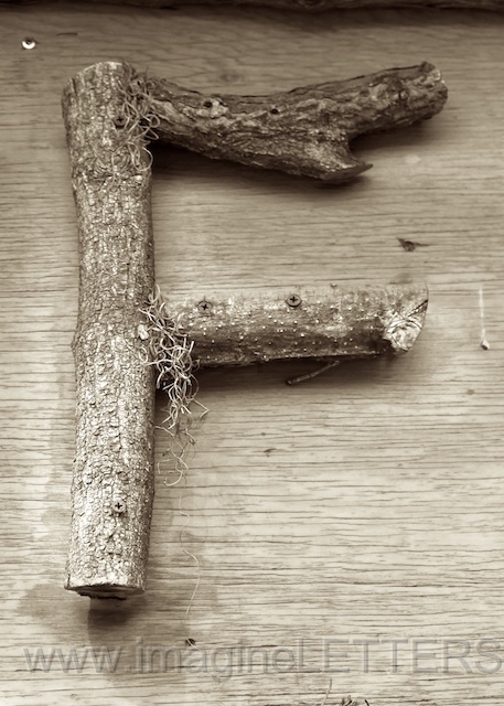 Wall_Art_Alphabet_Photography_Art_ 594.jpg